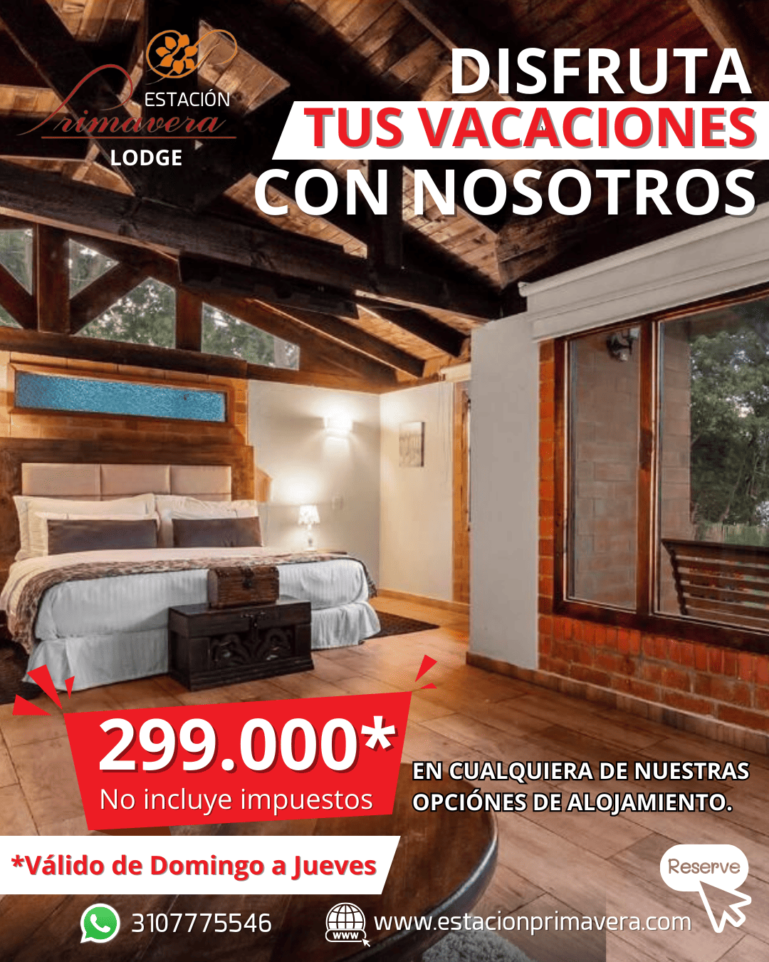 Diseño Gráfico